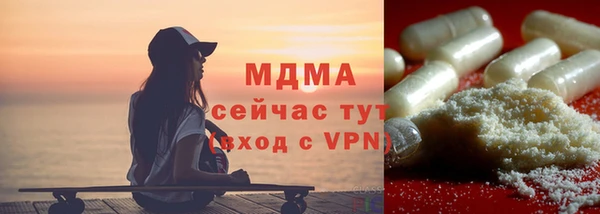 хмурый Аркадак