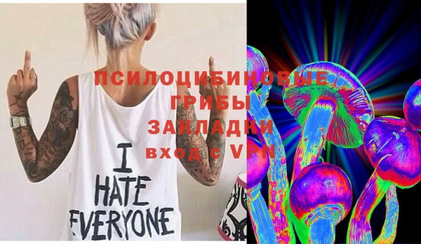 хмурый Аркадак