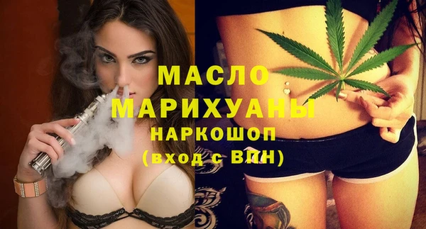 хмурый Аркадак