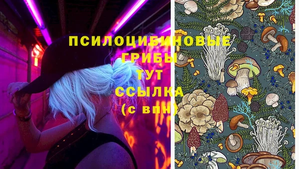 марки nbome Арсеньев