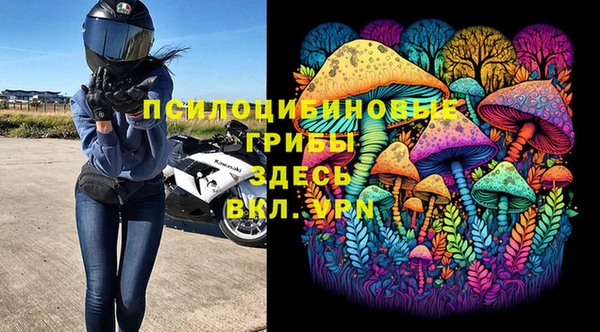 хмурый Аркадак