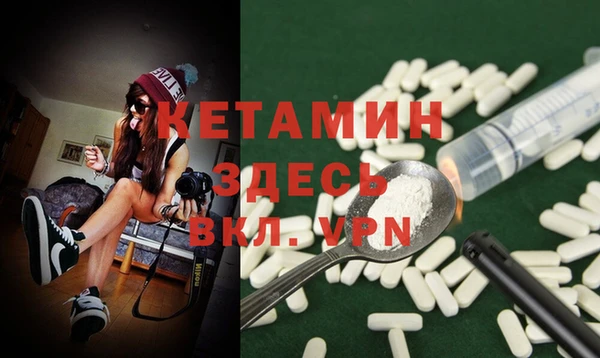 хмурый Аркадак