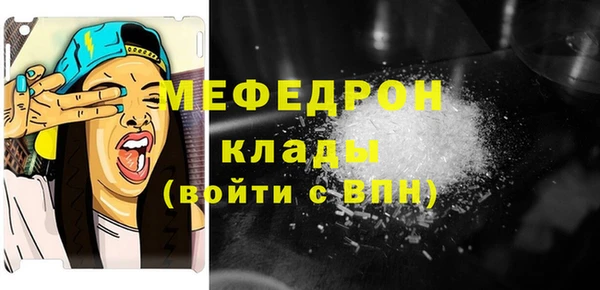 хмурый Аркадак