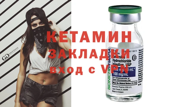 хмурый Аркадак
