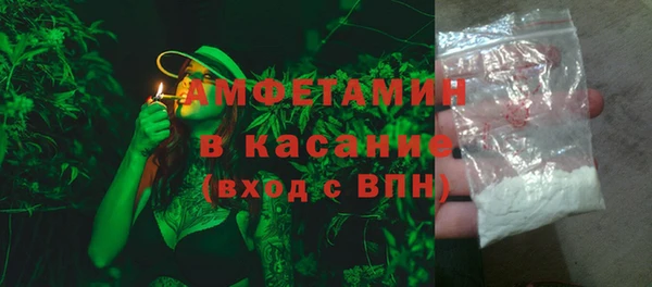 хмурый Аркадак